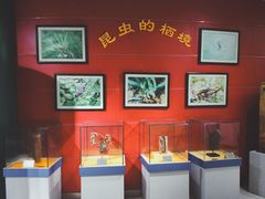 -上海昆虫博物馆