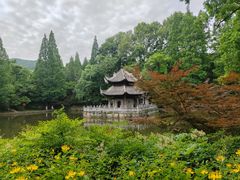 -习家池