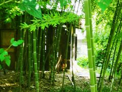 -驿舍·民國老营房院子私房菜(科学会堂店)