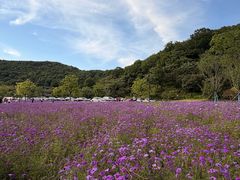 -南北湖风景区