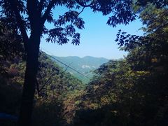 -藏龙百瀑风景区