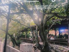-青咖啡(三坊七巷店)