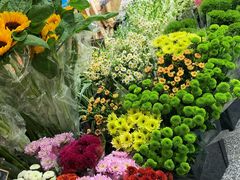 -花草间花行(法华镇路店)