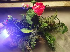 -红蜡烛-养生粥-津鲁菜(中山路店)