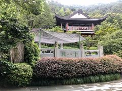 -十八棵（老龙井）御茶园(老龙井店)