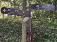 -岳麓山风景名胜区