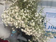 -雪蔓之鲜花气球派对(家佳源时代中心店)