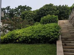 -深圳湾公园-停车场