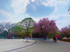 -丰台花园