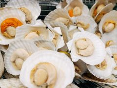 -索菲特酒店·海鲜自助 ·聚餐厅