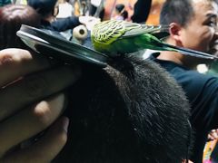 -白鹿仓冰雪海洋世界