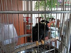 -吉同饭店(绿地·香榭丽公馆店)