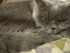 -Rabbit Cafe私房西餐甜点咖啡(栖霞路店)