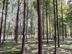 -上海浦江郊野公园-2号停车场