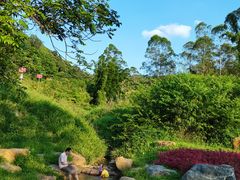 -黄埔油麻山森林公园