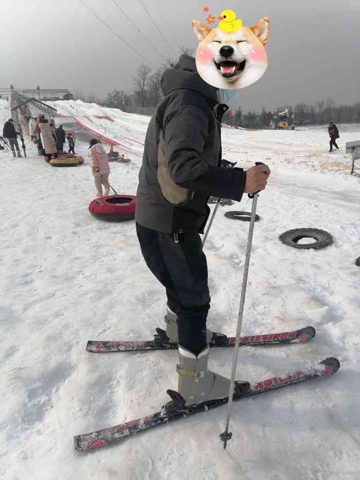 雁鸣蟹岛滑雪场门票图片