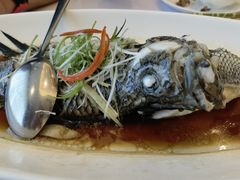 -骏莱海鲜鱼港(五角场店)