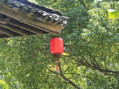 -刘伯温故里景区百丈漈