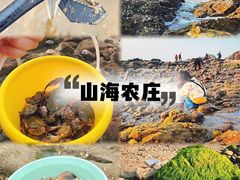 -巽寮湾