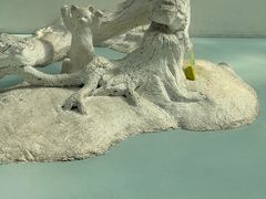 -中国湿地博物馆