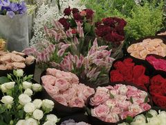 -双季花艺园艺市场(浦东店)
