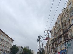 -桃花堤公园