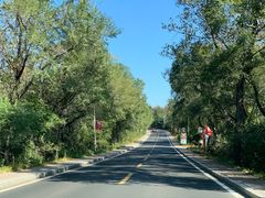 -帽儿山国家森林公园