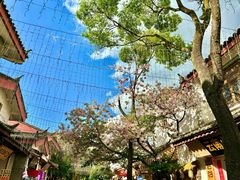 -丽江玉水寨