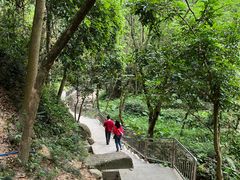 -火炉山森林公园