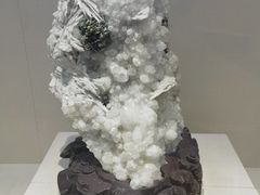 -安徽省地质博物馆