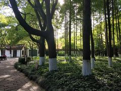 -瀛洲公园