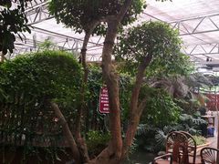 -金稼园·金平湖农家菜
