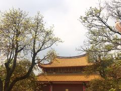 -天竺岩寺