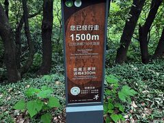 -惠山国家森林公园