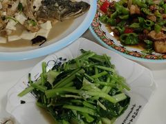 -煲来饱去冷水鱼