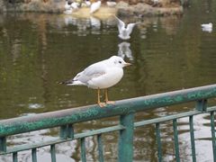 -昆明动物园