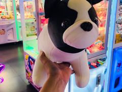 -PAWTOY爪e玩偶店(天兴罗斯福店)
