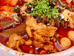 传统地道毛血旺-眉州东坡(上海中心店)