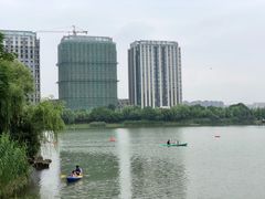 -南翔镇银翔湖公园