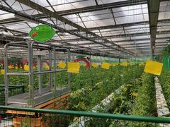 -兰陵国家农业公园