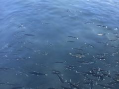 -青海湖二郎剑景区