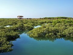-北海金海湾红树林生态旅游区