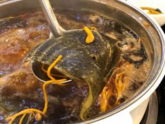 -甲鱼火锅(北村小区店)