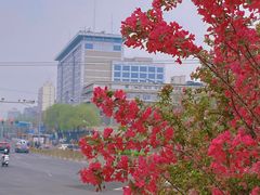 -北京明城墙遗址公园