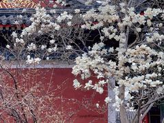 -北京艺术博物馆(万寿寺)