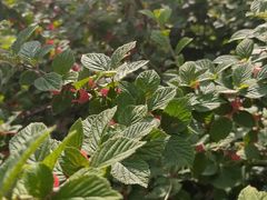 -沈阳辉山风景区