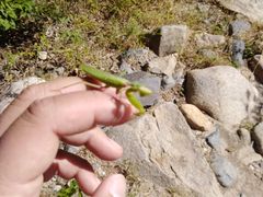 -碓臼峪自然风景区