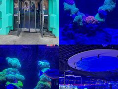 -海合安武汉极地海洋公园