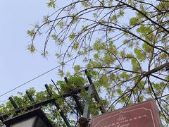 -Santoor 萨都里印度餐厅(北锣鼓巷店)