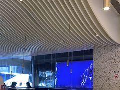 -gaga(金光华店)